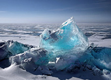 大发官网：官方背书下的信任与极致体验