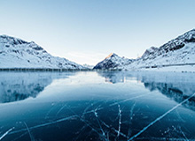 大发官网：官方背书下的信任与极致体验